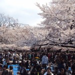 Những lễ hội hấp dẫn và độc đáo trong tháng 3