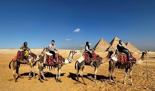 Lý do tour thiết kế riêng phù hợp gia đình Việt dịp Tết