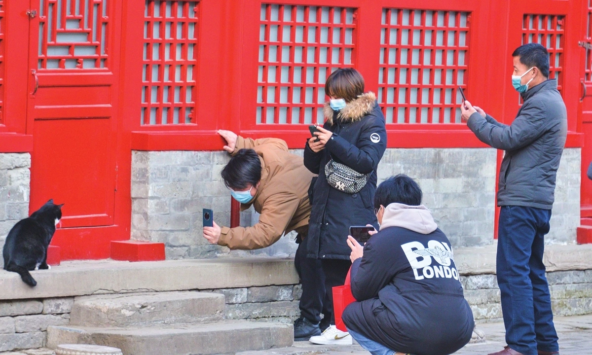 Du khách chụp ảnh mèo trong Tử Cấm Thành. Ảnh: VCG